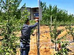 2016年4月山东海阳果园秋葵视频黄色网站圆满结束