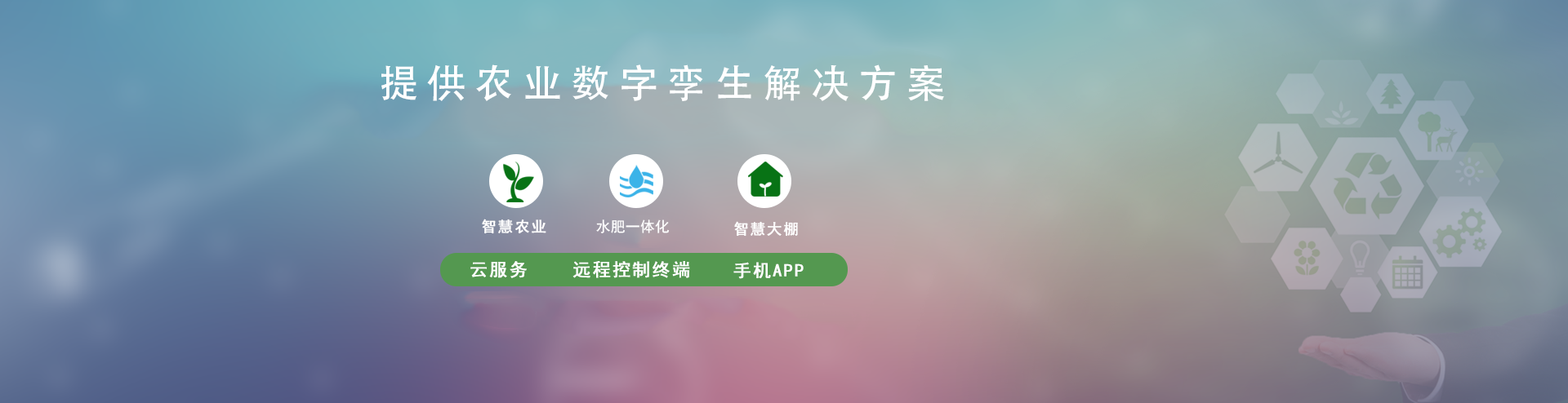 节水秋葵视频黄色网站