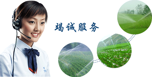  节水秋葵视频黄色网站