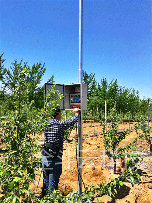 秋葵视频黄色网站系统