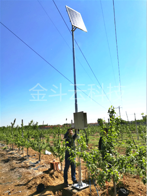 秋葵视频黄色网站系统