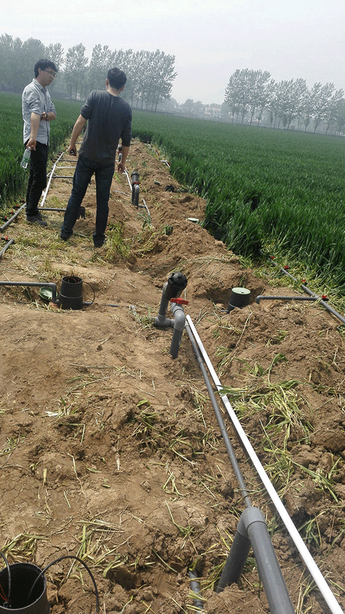 农业秋葵视频黄色网站