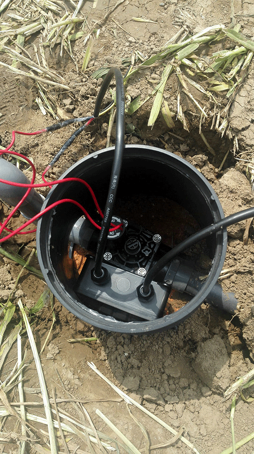 农业秋葵视频黄色网站