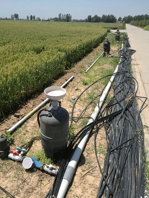 农业秋葵视频黄色网站