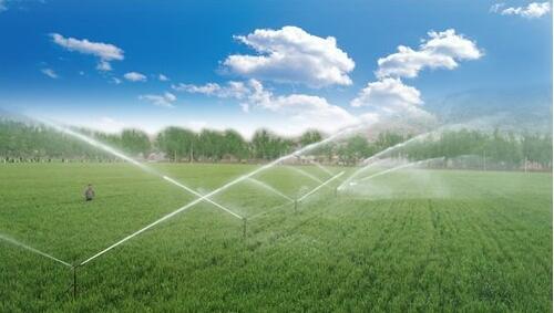 节水秋葵视频黄色网站 节水秋葵视频黄色网站