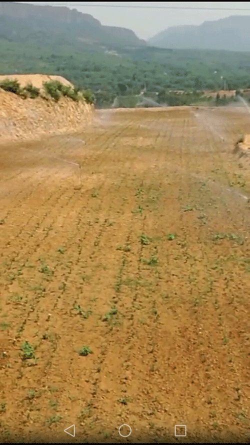 秋葵视频黄色网站系统