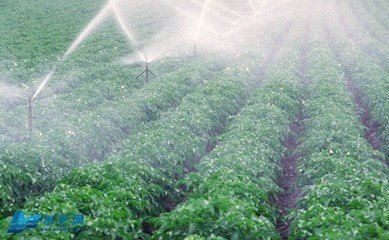 秋葵视频黄色网站系统