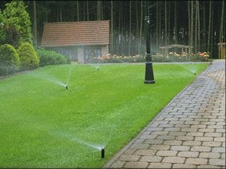 农业秋葵视频黄色网站 农业秋葵视频黄色网站