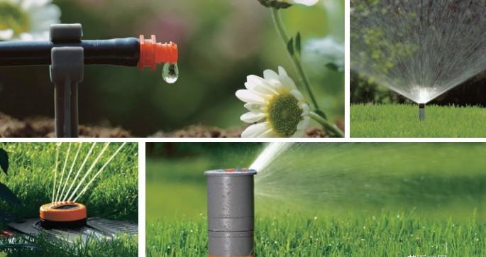 秋葵视频黄色网站系统