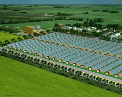 秋葵视频黄色网站系统