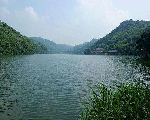 农业秋葵视频黄色网站厂家