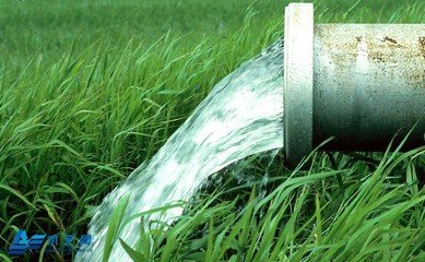 农业秋葵视频黄色网站厂家 农业秋葵视频黄色网站厂家