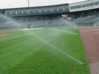 节水秋葵视频黄色网站 节水秋葵视频黄色网站