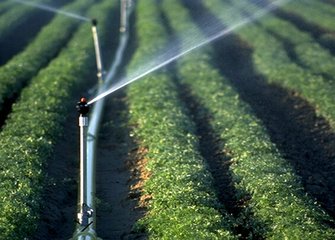 农业秋葵视频黄色网站 农业秋葵视频黄色网站