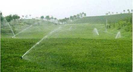 农业秋葵视频黄色网站 农业秋葵视频黄色网站