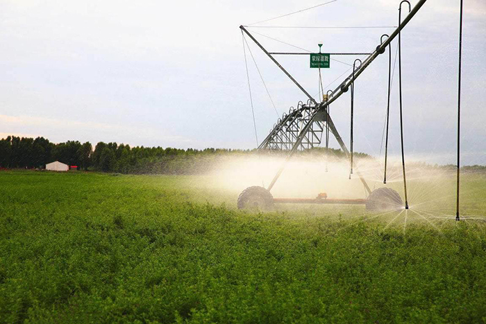 节水秋葵视频黄色网站 节水秋葵视频黄色网站