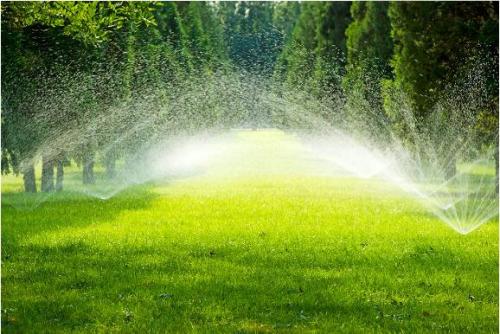 节水秋葵视频黄色网站 节水秋葵视频黄色网站