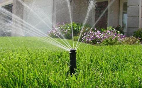 节水秋葵视频黄色网站 节水秋葵视频黄色网站