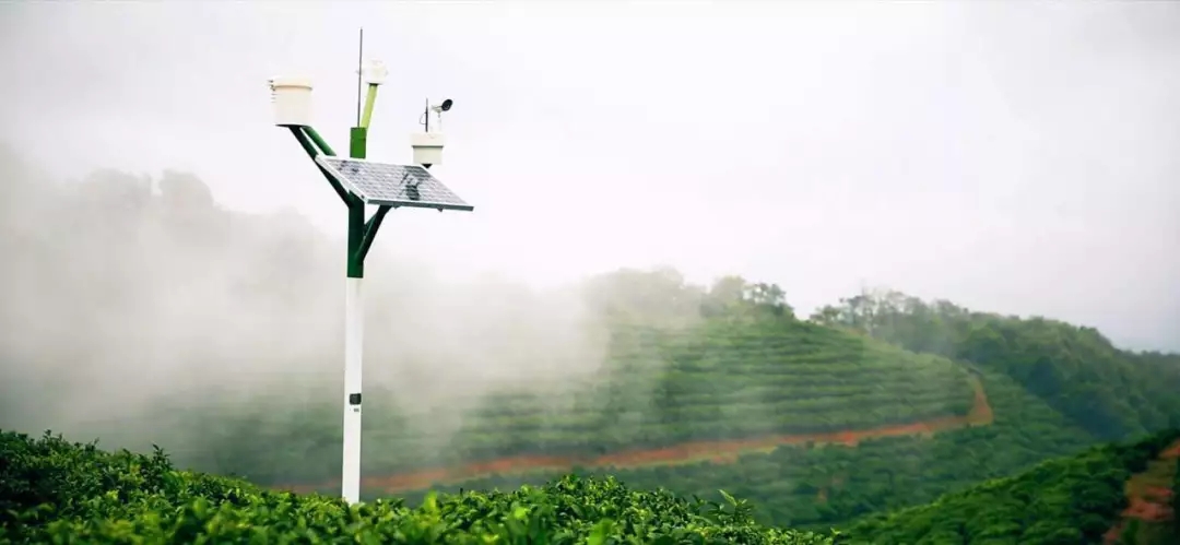 1556086089882366.jpg 2.webp.jpg