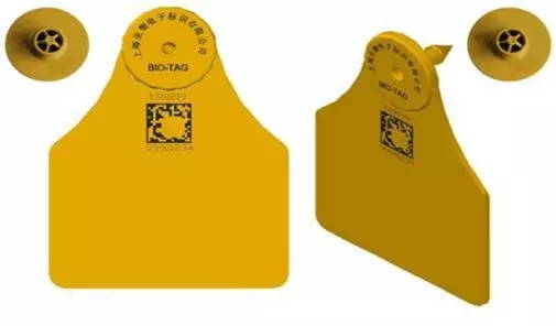 1556086155782705.jpg 6.webp.jpg