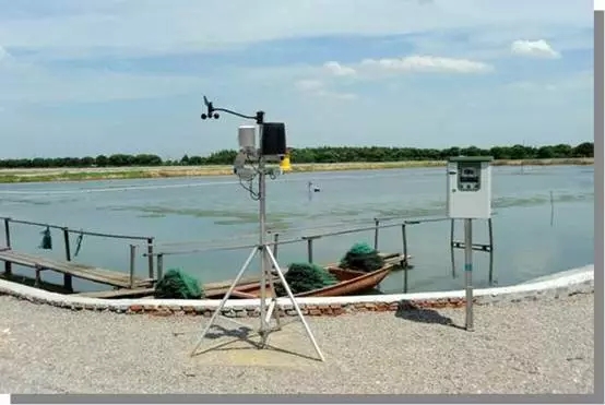 1556086216135765.jpg 10.webp.jpg