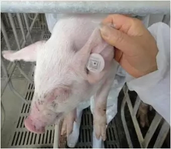 1556086181411986.jpg 8.webp.jpg