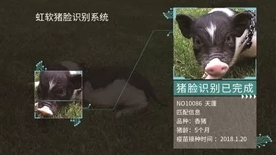 1556086415746601.jpg 20.webp.jpg