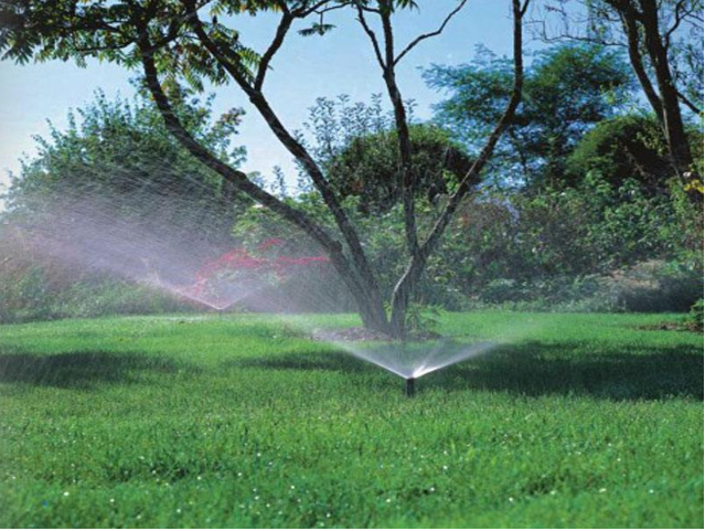 1598233319531253.png QQ截图20200821090140.png