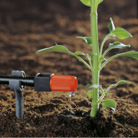 1598318517144545.png QQ截图20200825090604.png