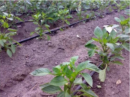 1598404753589519.png QQ截图20200826091747.png