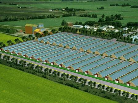 秋葵视频黄色网站系统 秋葵视频黄色网站系统