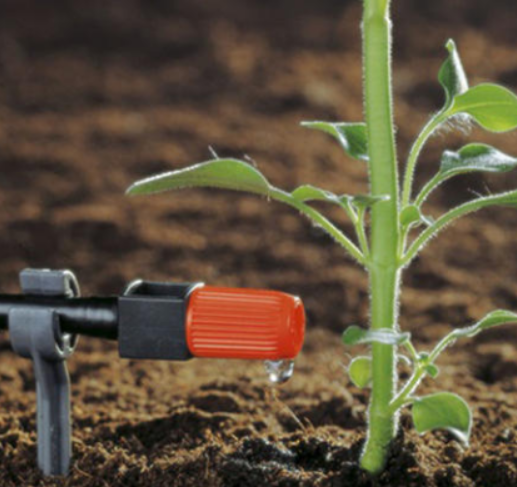 农业秋葵视频黄色网站