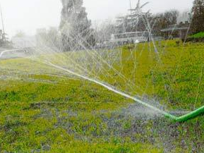 农业秋葵视频黄色网站 农业秋葵视频黄色网站