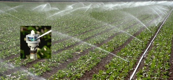 秋葵视频黄色网站系统 秋葵视频黄色网站系统