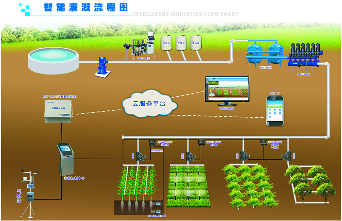 节水秋葵视频黄色网站
