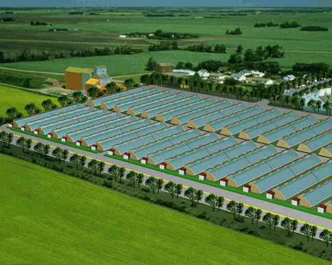 秋葵视频黄色网站系统