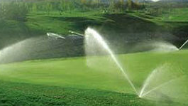 1700032120890924.png Y1HGKKCJ{3YSGWG7LE`H`WD.png