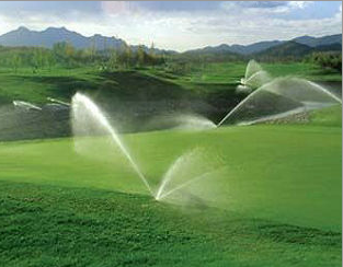 秋葵视频黄色网站系统 秋葵视频黄色网站系统